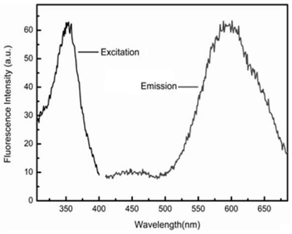 Copper nanocluster synthesized by dna nanoribbon template method, synthesis method and application thereof