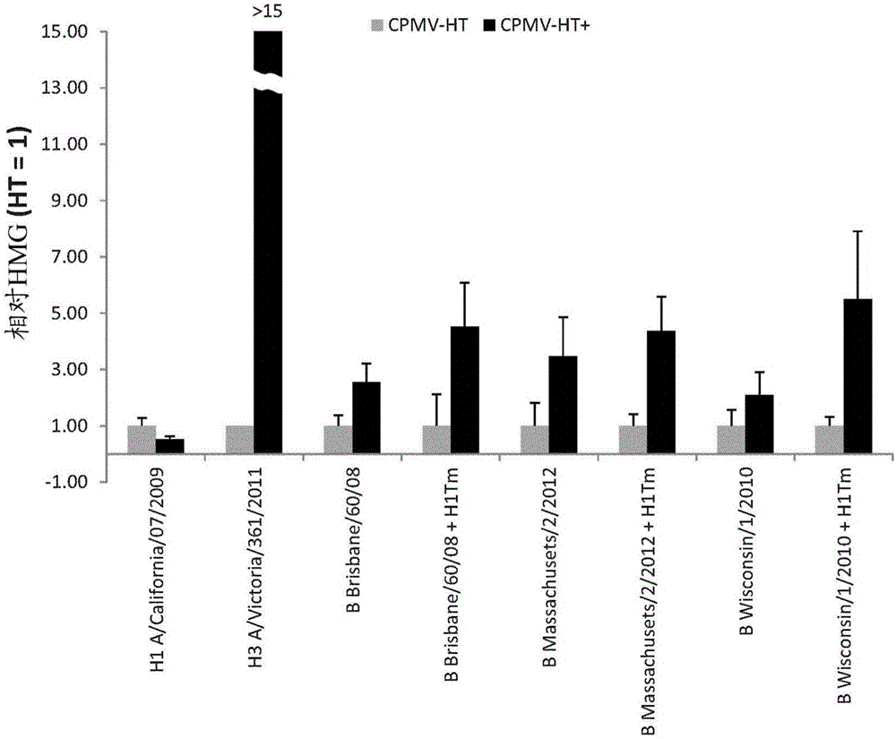 Modified CPMV enhancer elements