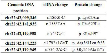 MEI1 gene for detecting female primary infertility and kit for detecting gene mutation