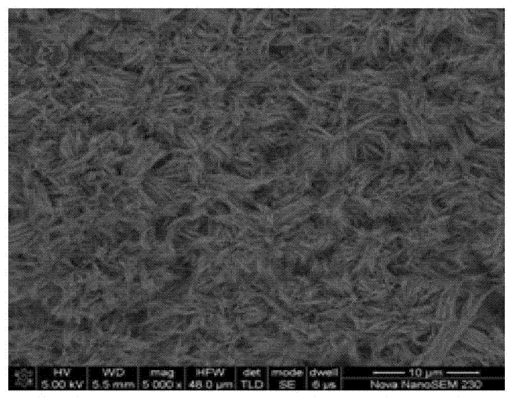 Preparation method of blue light and near ultraviolet excitation type one-dimensional red nano fluorescent powder