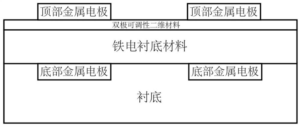 Two-dimensional material analog circuit, production method and application thereof