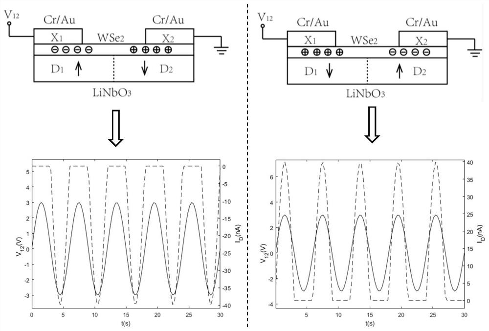 Two-dimensional material analog circuit, production method and application thereof