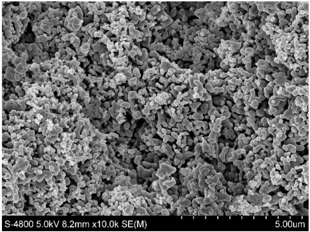 Preparation method of bicontinuous-phase alumina/epoxy resin composite material