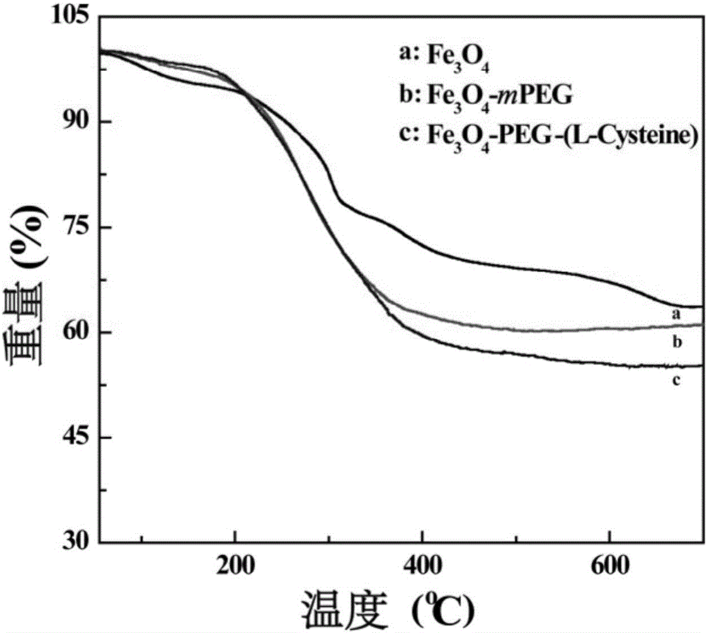 Preparation method of amphoteric ion modified ultra-fine iron oxide particles