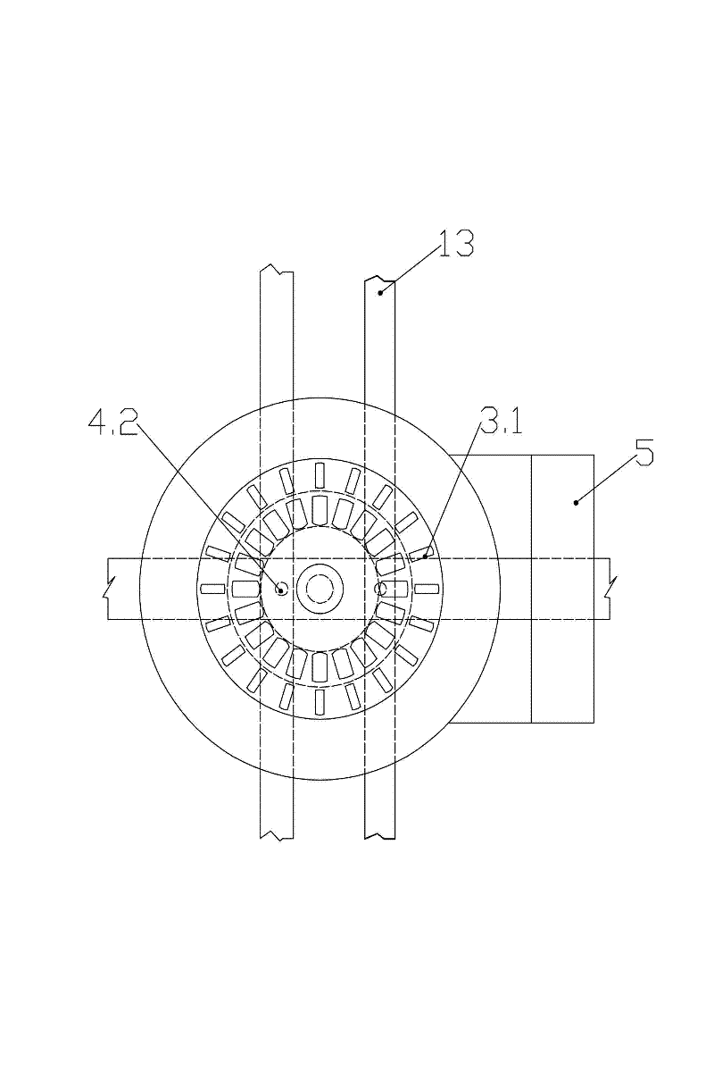 Fish sorting device and method