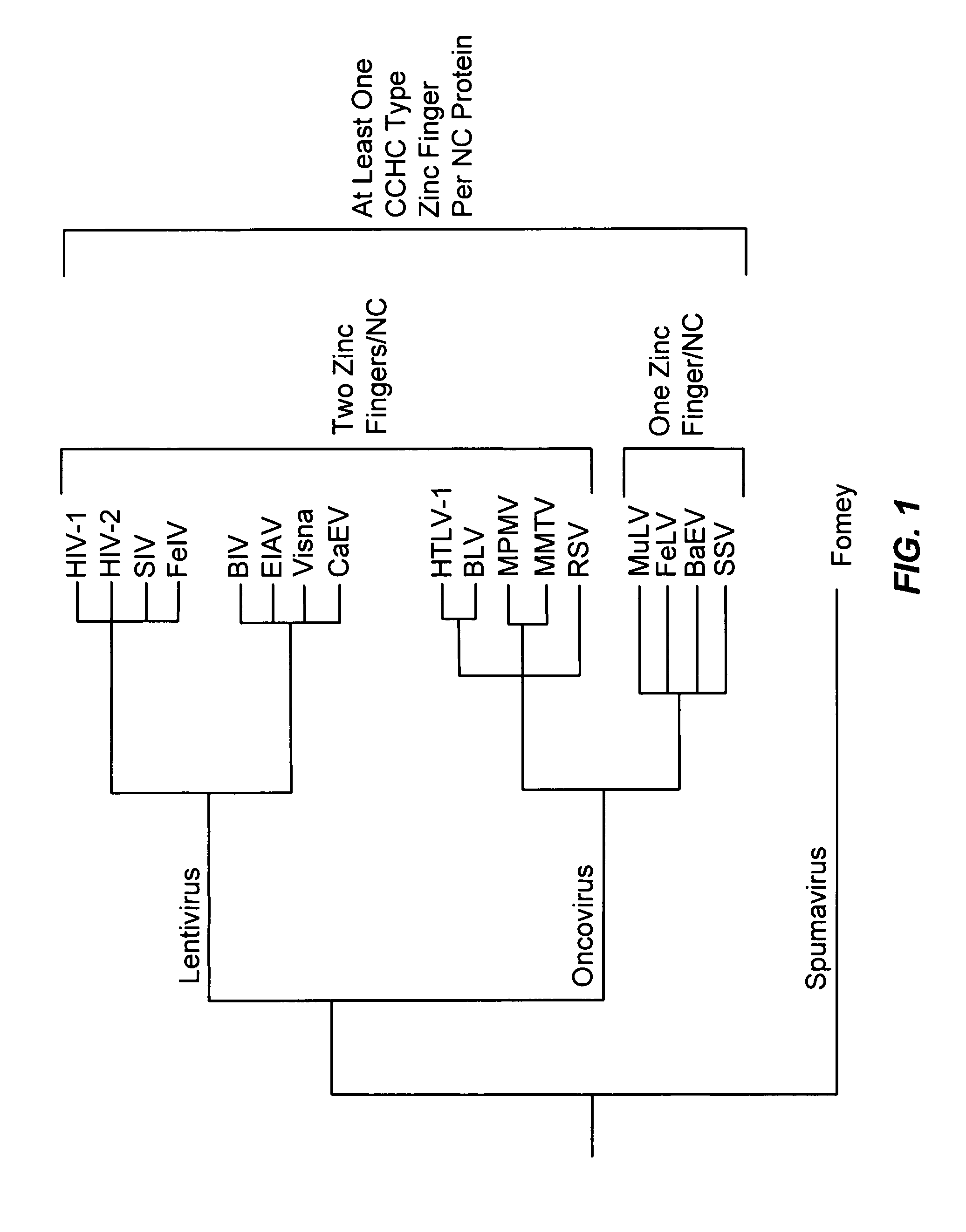 Method for identifying and using compounds that inactivate HIV-1 and other retroviruses by attacking highly conserved zinc fingers in the viral nucleocapsid protein