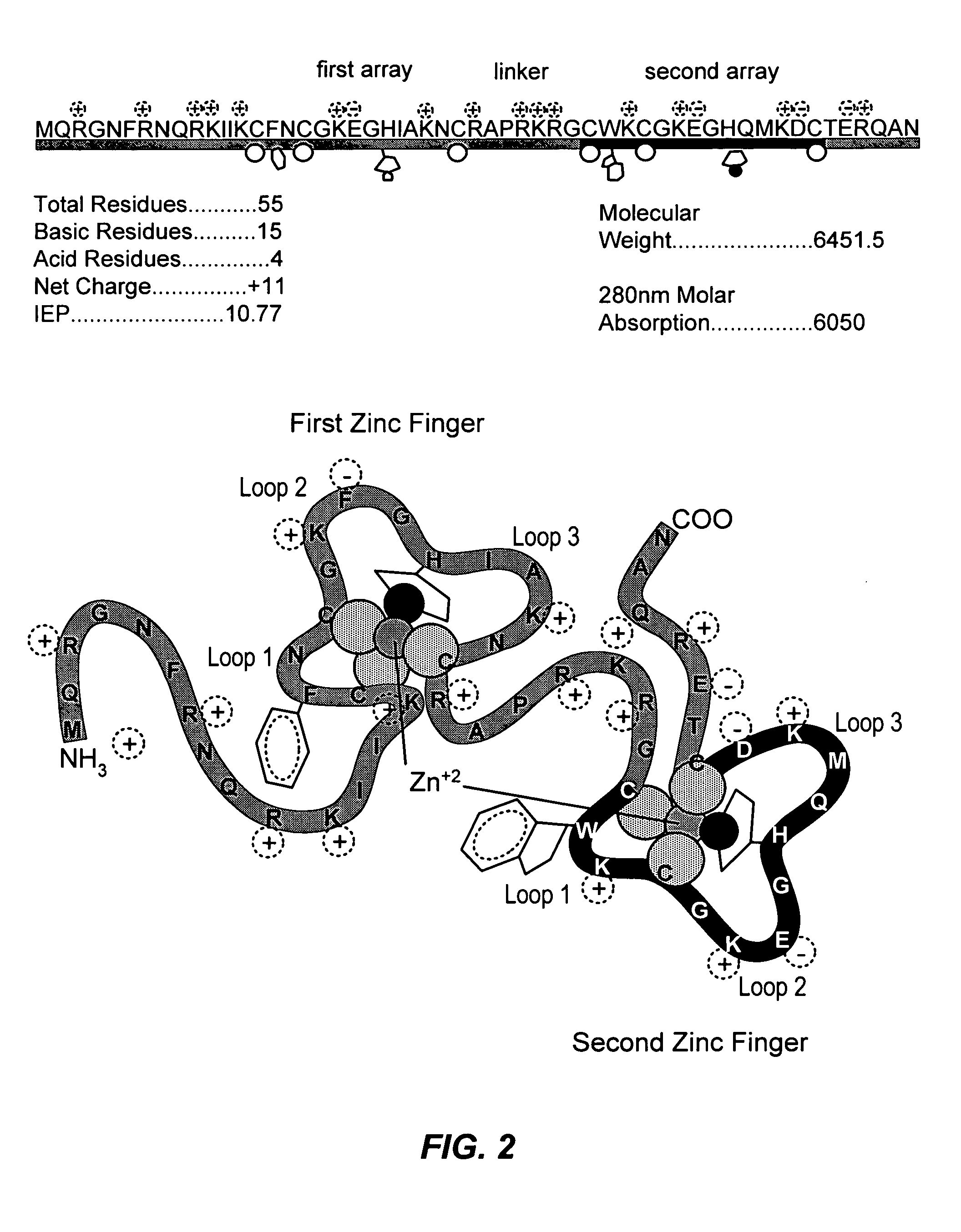 Method for identifying and using compounds that inactivate HIV-1 and other retroviruses by attacking highly conserved zinc fingers in the viral nucleocapsid protein