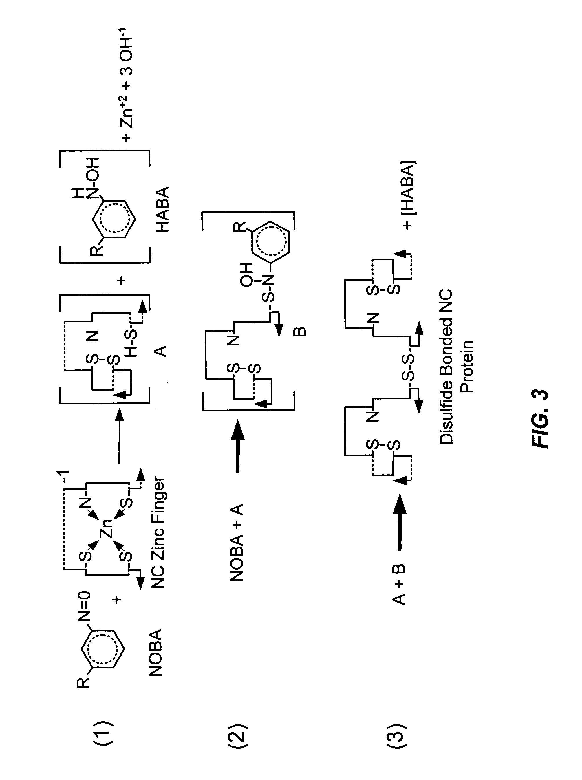 Method for identifying and using compounds that inactivate HIV-1 and other retroviruses by attacking highly conserved zinc fingers in the viral nucleocapsid protein