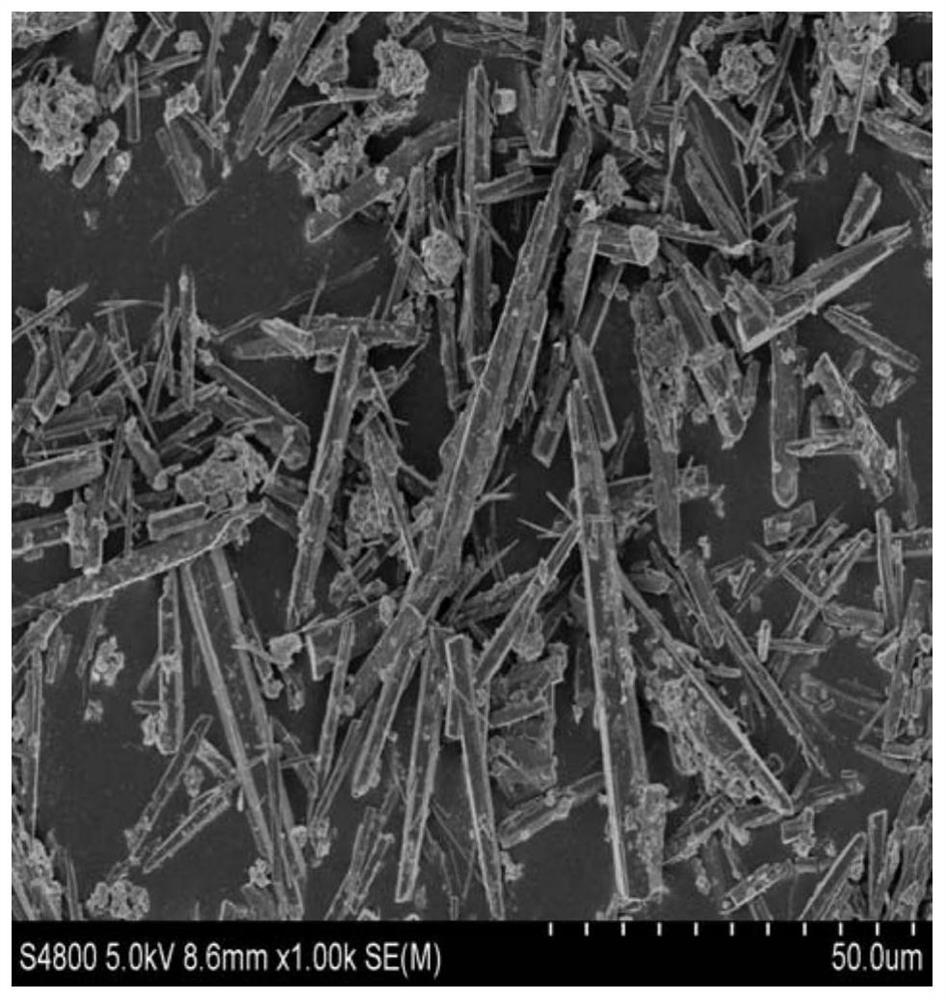 Water-based film-forming agent and preparation method thereof, water-based drilling fluid and application thereof