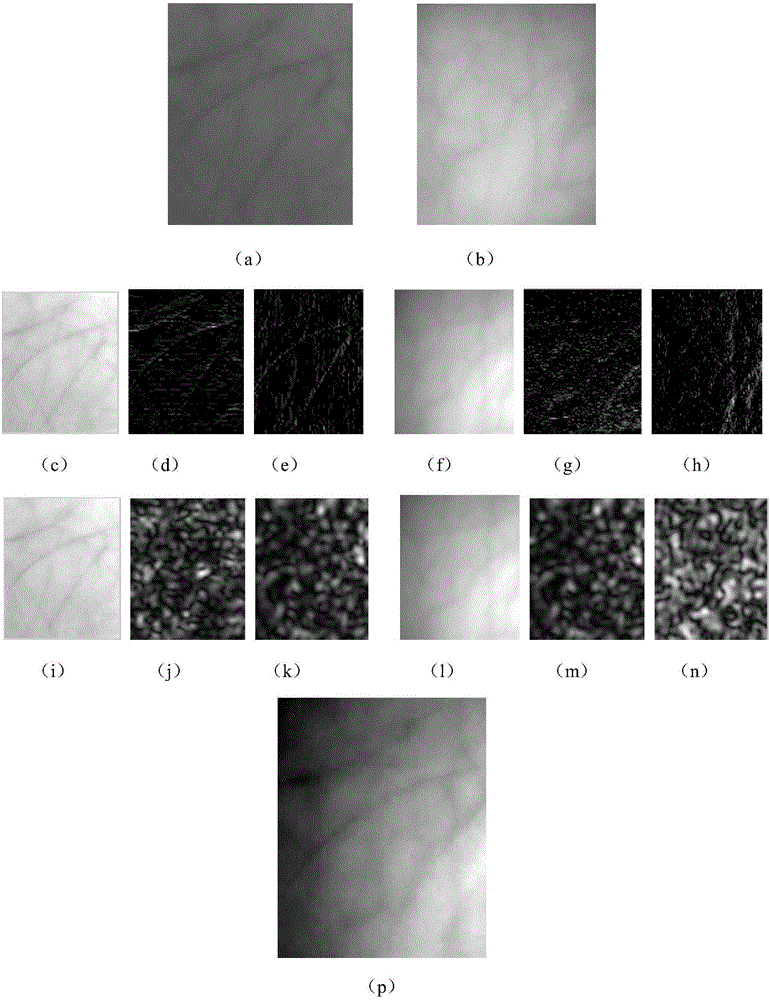 Palm print palm vein image layer fusion method based on wavelet transformation and Gabor filter