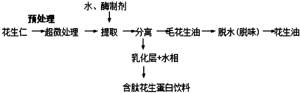 Compound enzyme method for preparing peptide-containing low-fat peanut beverage