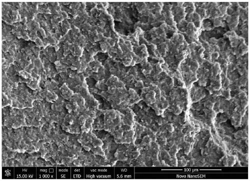 A polyetheretherketone-based synergistic flame-retardant nanocomposite material and its preparation method