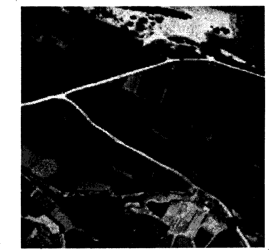 Method for extracting roads from remote sensing image based on non-sub-sampled contourlet transform