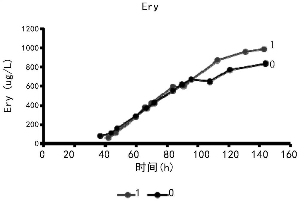 Optimized fermentation method of saccharopolyspora erythraea with sucC gene knocked out