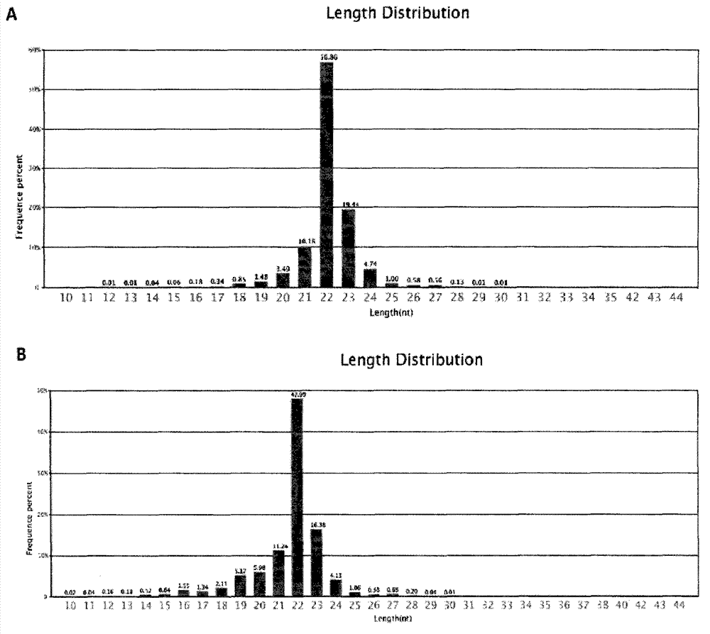 Kit for detecting bone metastasis of lung cancer