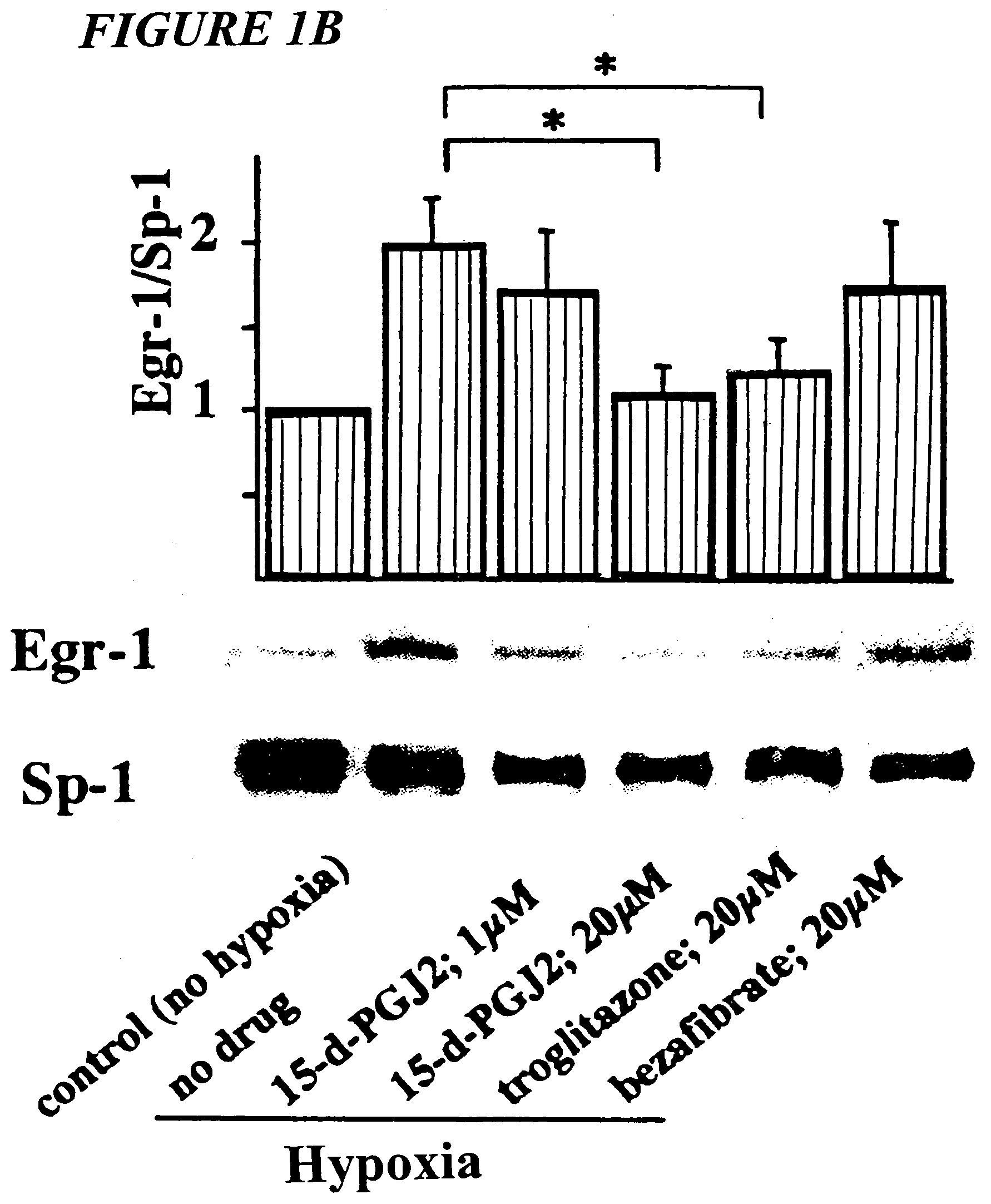 Inhibition of Egr-1 expression by ppar-gamma agonists and related compositions and methods
