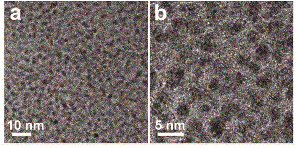 Carbon quantum dot/aurum cluster ratiometric fluorescent probe for detection of cadmium ion and ascorbic acid
