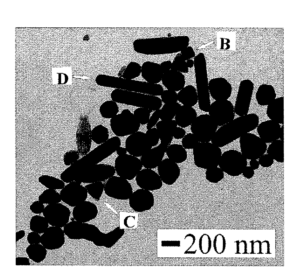 Oxidation-resistant, ligand-capped copper nanoparticles and methods for fabricating them