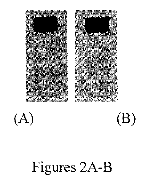 Oxidation-resistant, ligand-capped copper nanoparticles and methods for fabricating them