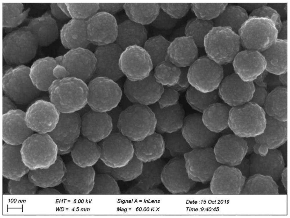 Preparation method and application of Pd-Fe/Fe3O4 material