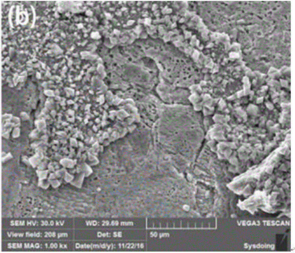 Application and preparation of Zn-C secondary battery composite material