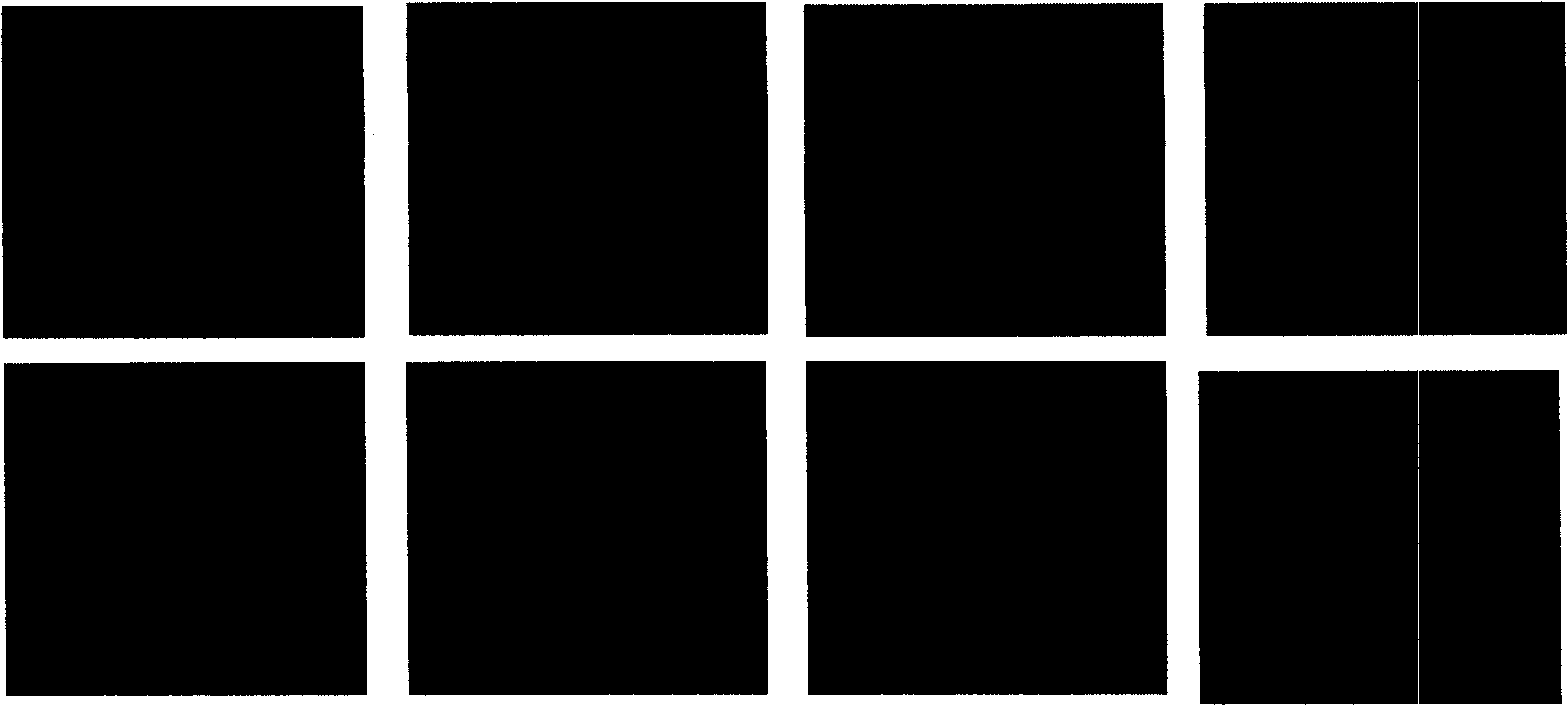 Method for preparing epirubicin slow-release prepn