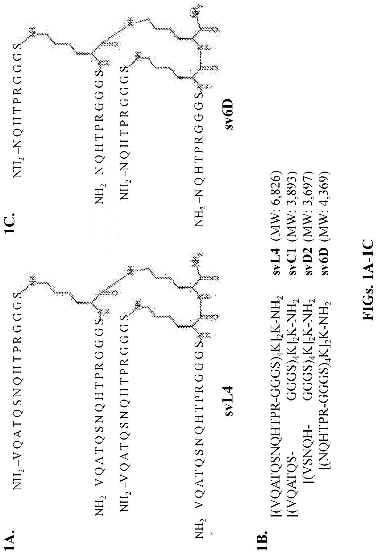 Compositions and methods of treating cancer with glycomimetic peptides