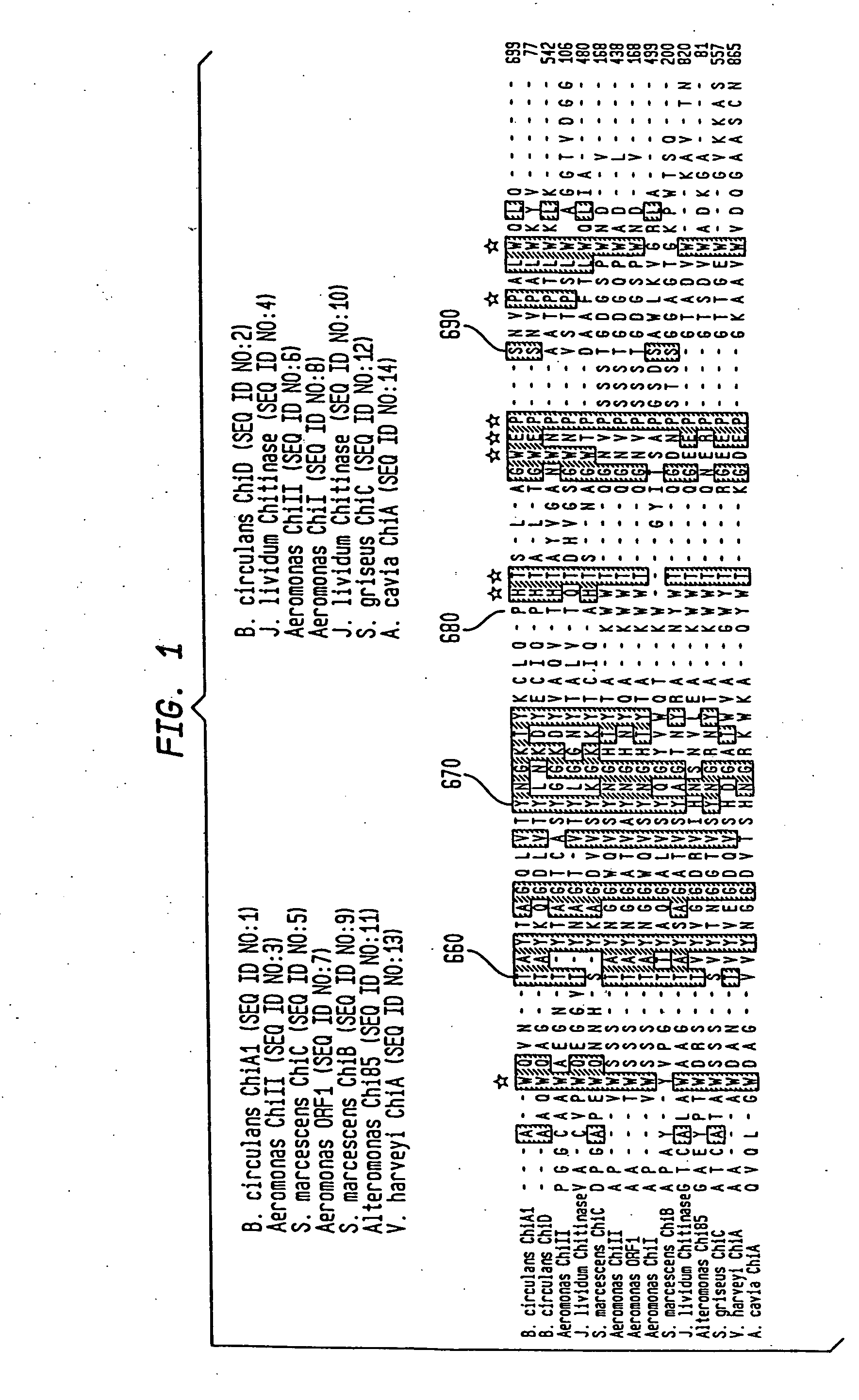 Modified chitin binding domain and uses thereof