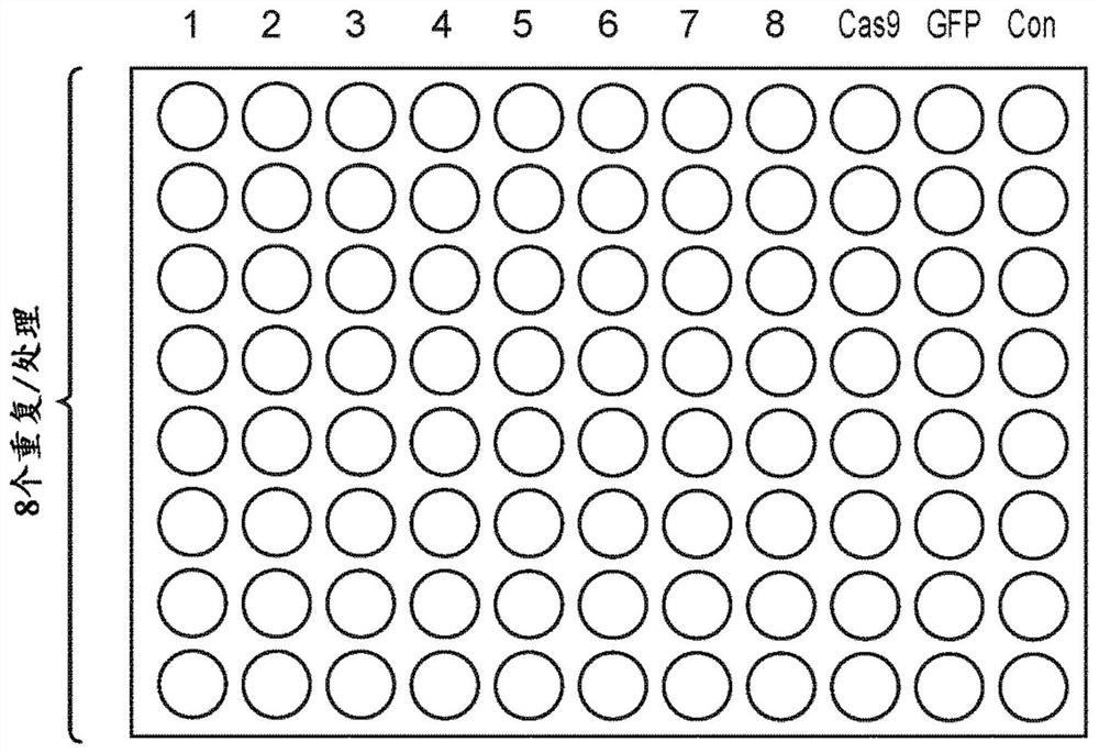 A non-toxic cas9 enzyme and application thereof