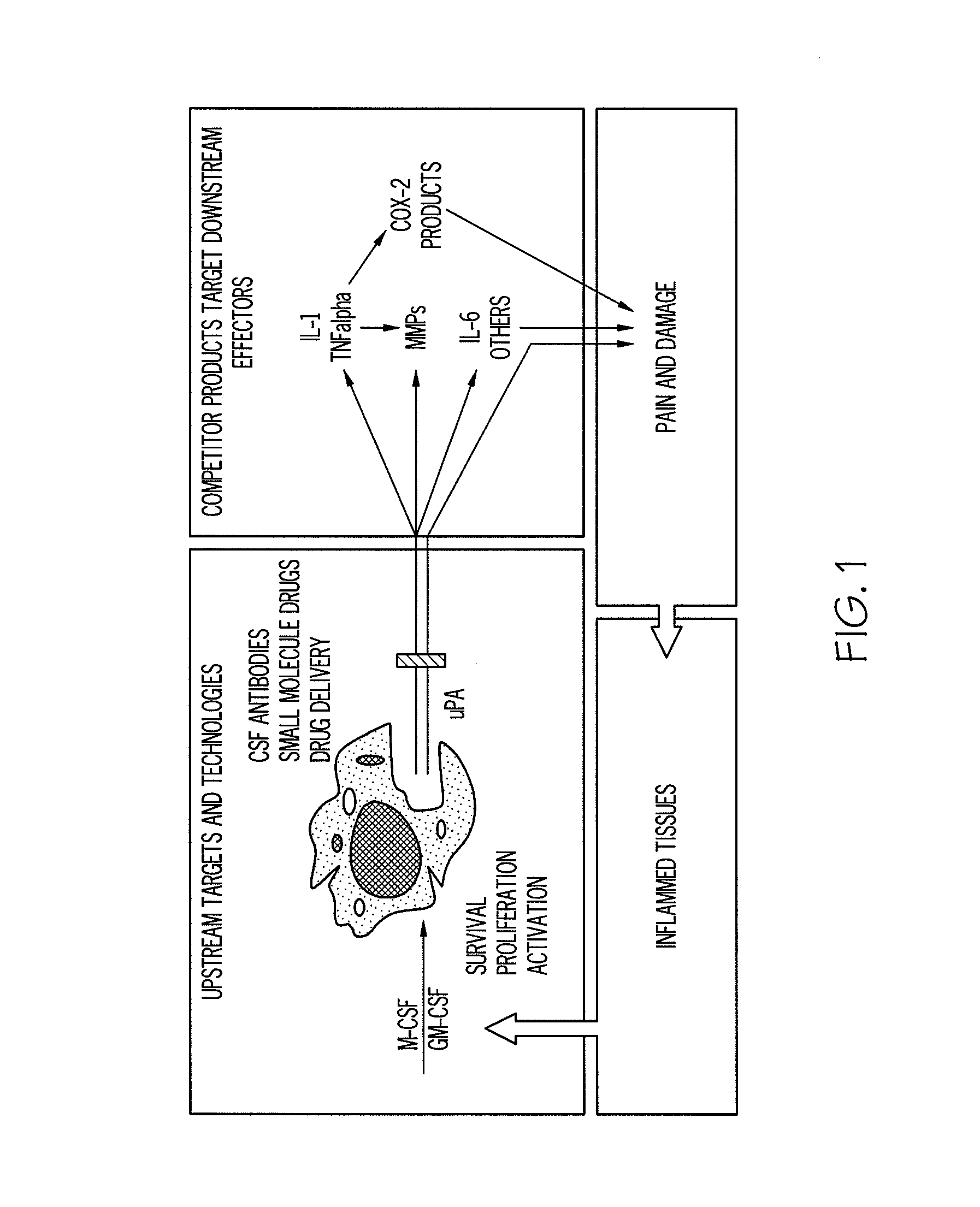 Method of treatment and agents useful for same
