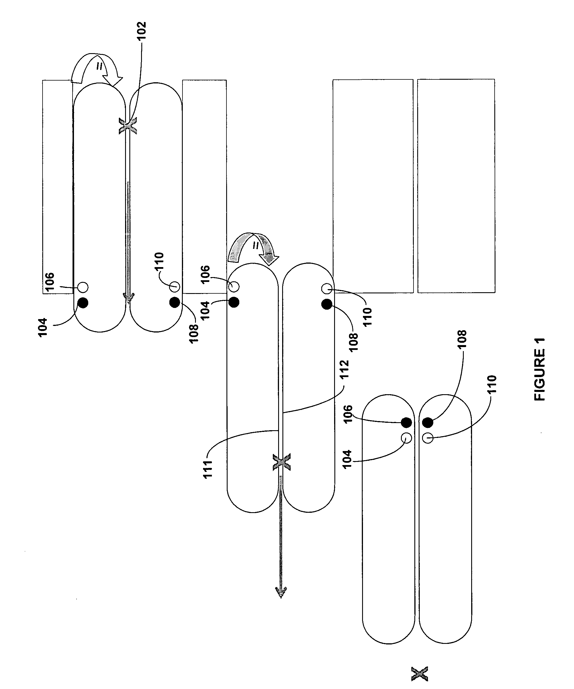 Method and device for extracting objects from the body