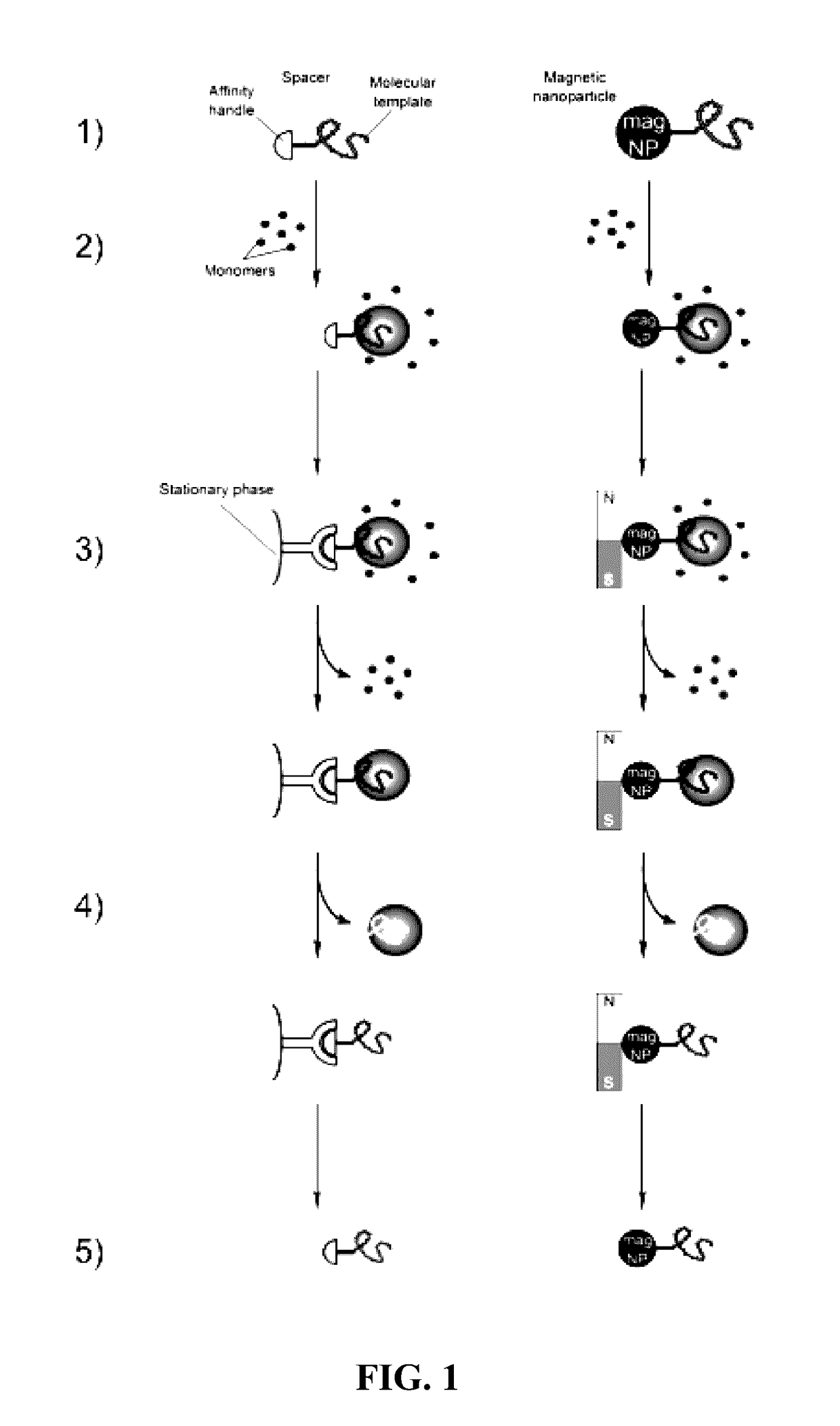 Polymers prepared using smart templates