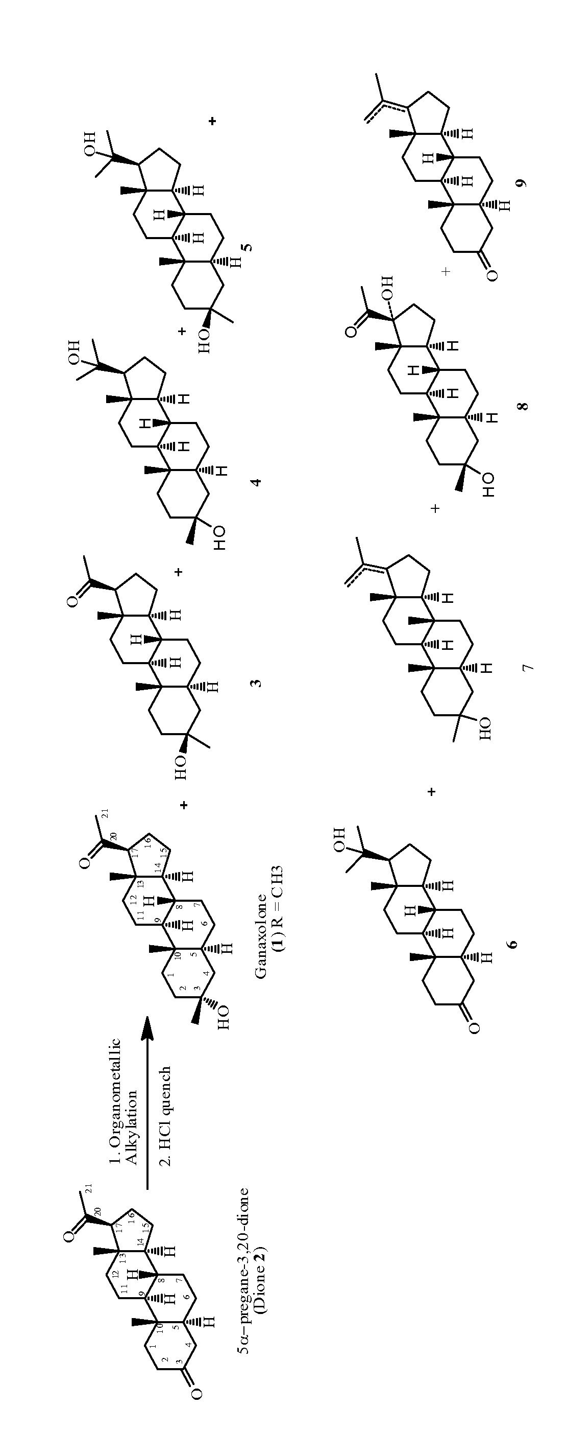 Method for making 3α-hydroxy, 3β- substituted-5α-pregnan-20-ones