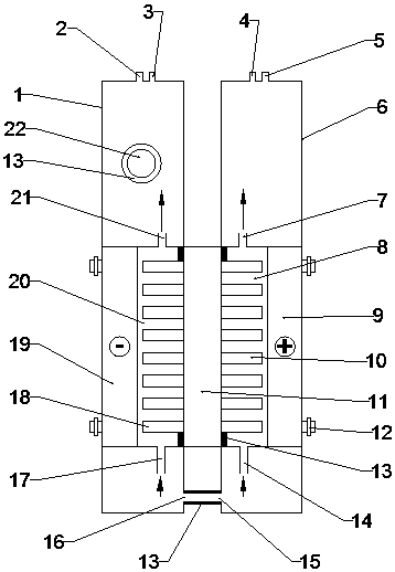 Internally circulating electrolysis type ozone generation device