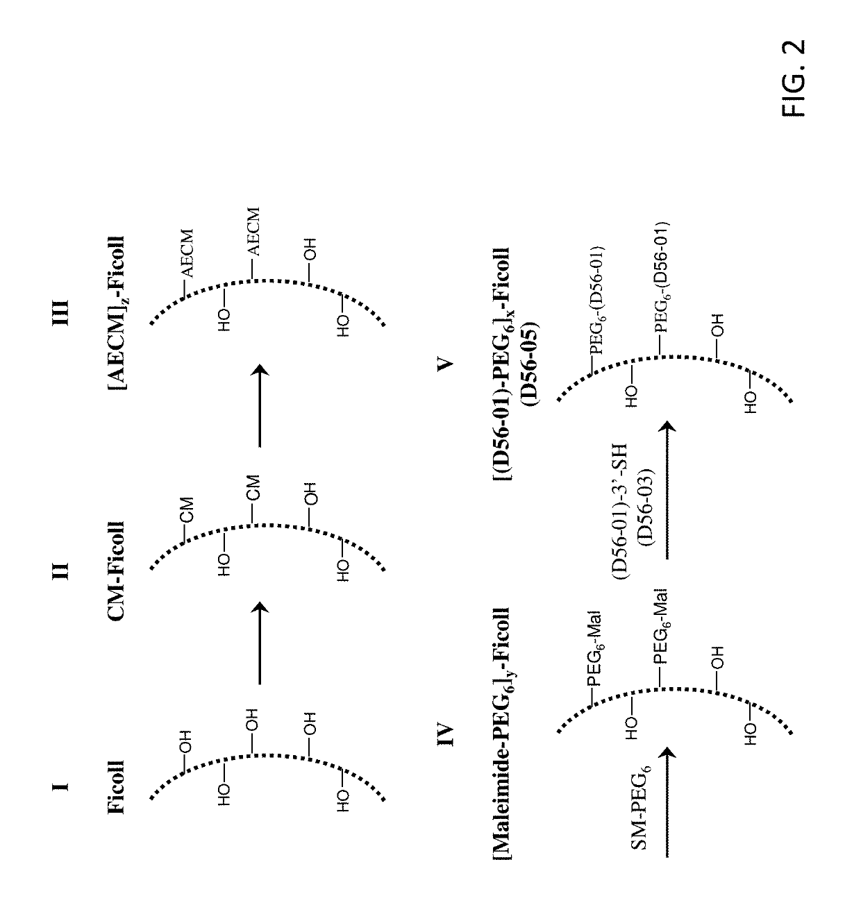 Branched chimeric compounds, and methods of use thereof