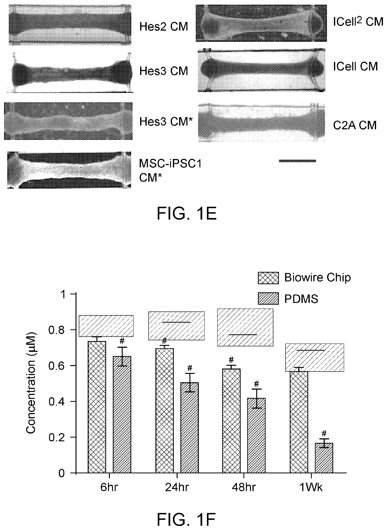 Methods for tissue generation