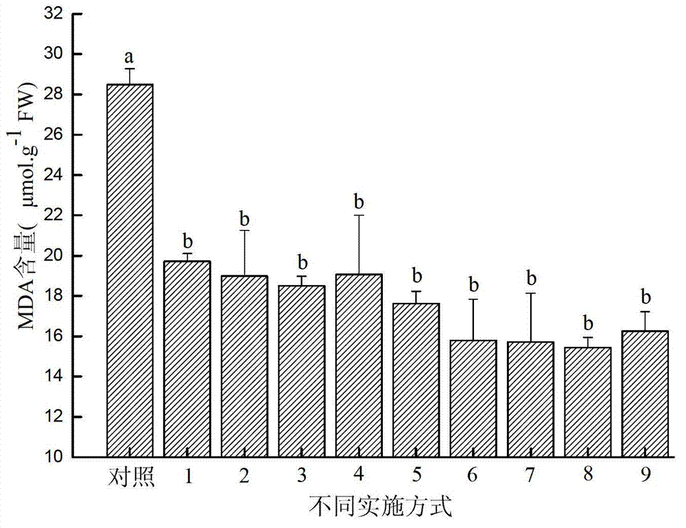 Cold-resistant agent for growth of Chinese trichosanthes and using method thereof