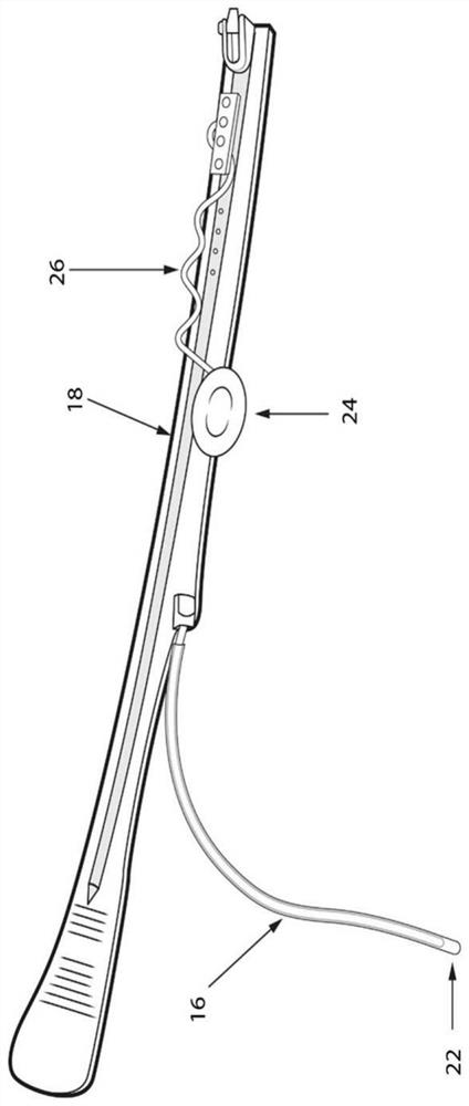 Eyewear, method for manufacturing eyewear, and method for using eyewear