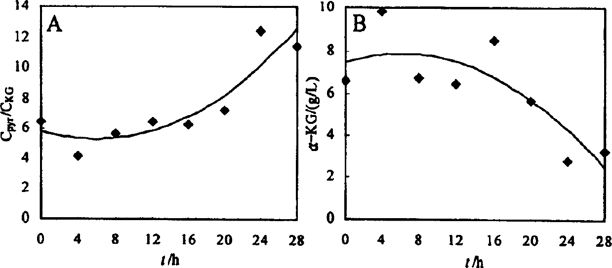 Method for microbial fermentation synthesis of ª‡-ketoglutaric acid