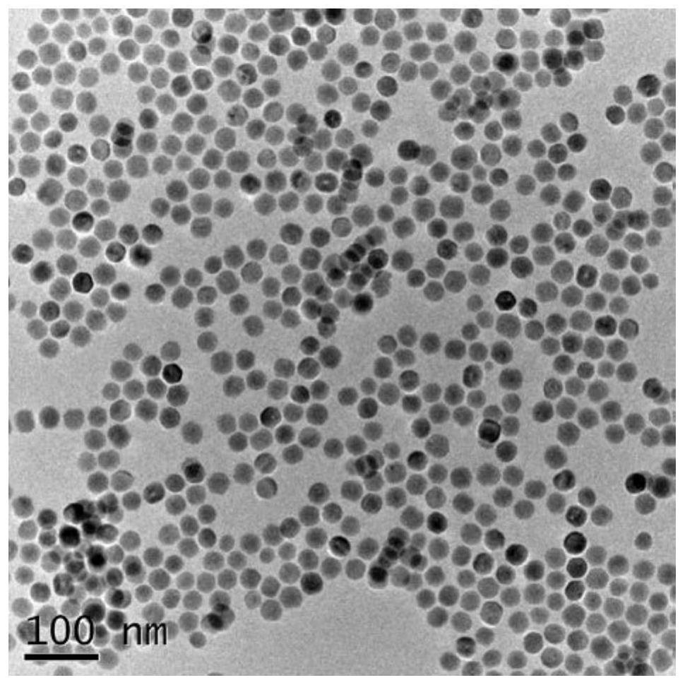 Rare earth photo-thermal nano particle and preparation method thereof