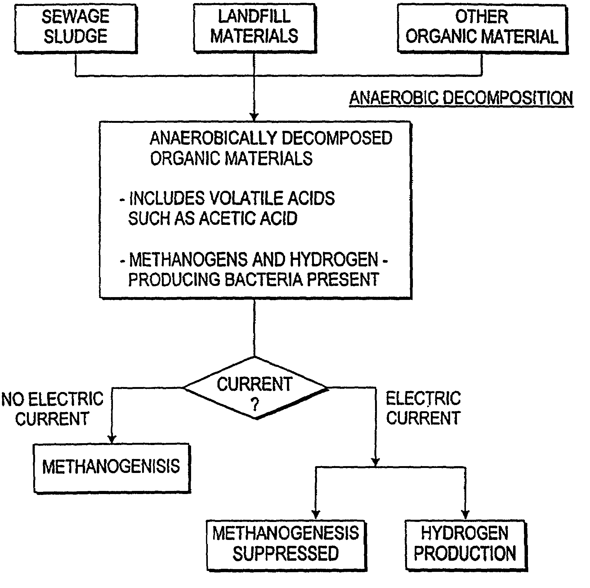 Process for production of hydrogen from anaerobically decomposed organic materials