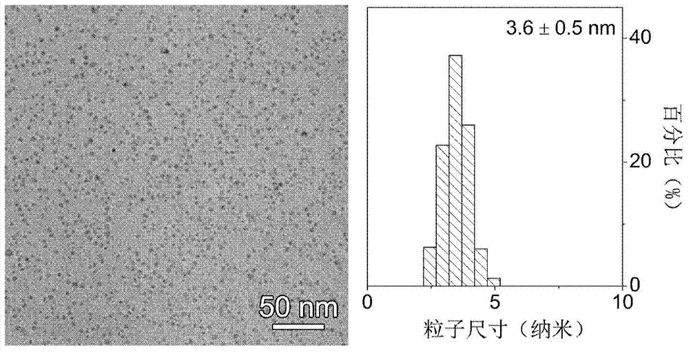 Magnetic nanoparticle magnetic resonance contrast agent and magnetic nanoparticle relaxation rate enhancing method