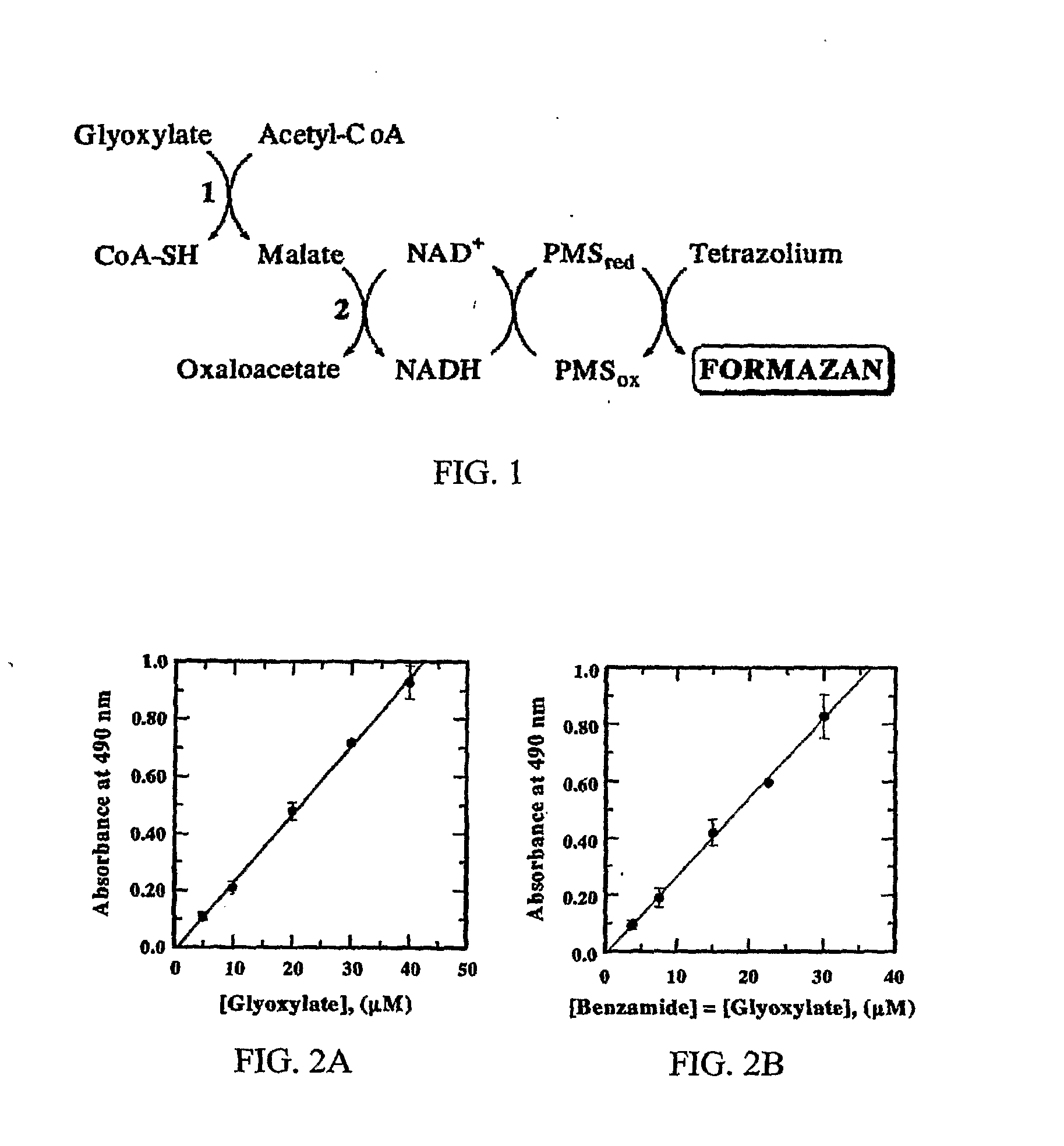 Materials and Methods for Assaying for Glyoxylate
