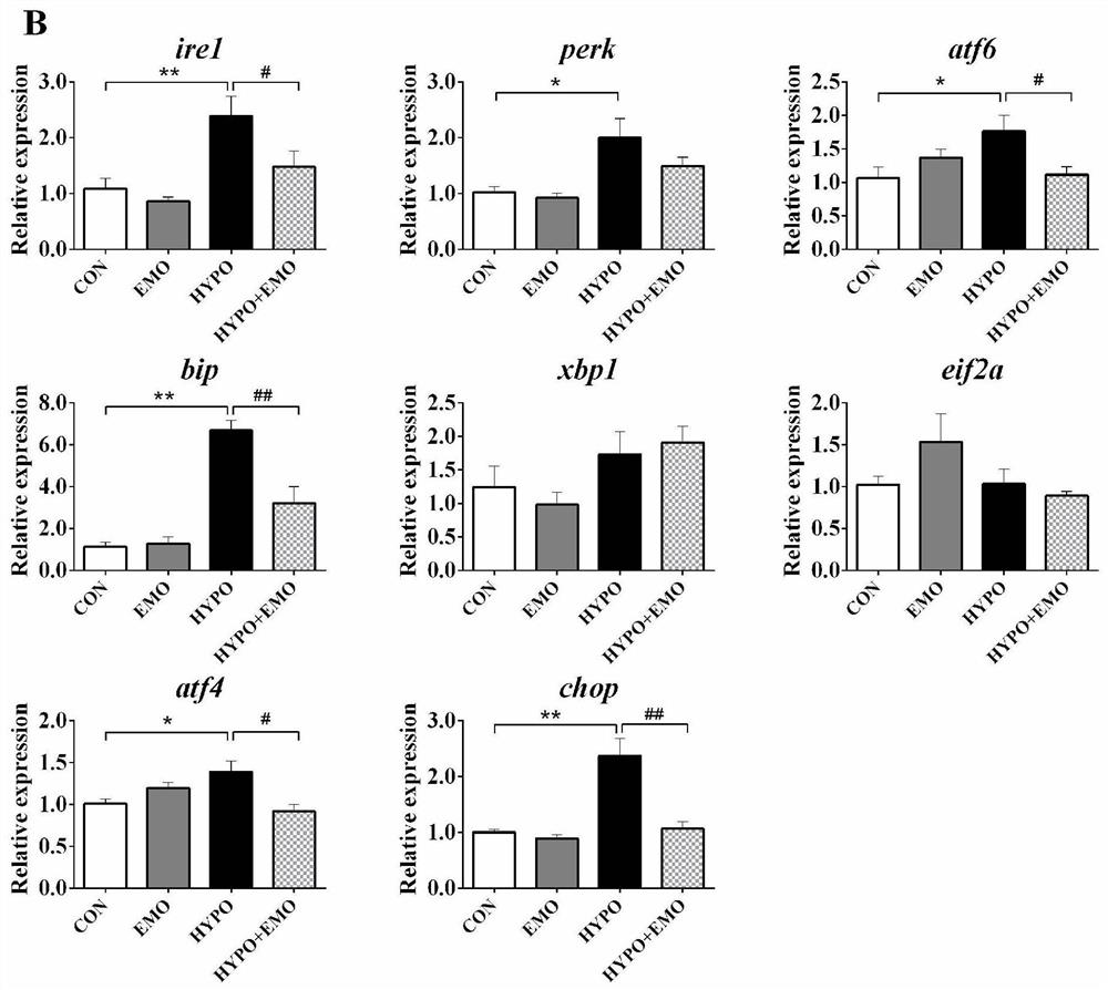 Application of emodin in relieving acute hypoxia-induced fish cell apoptosis