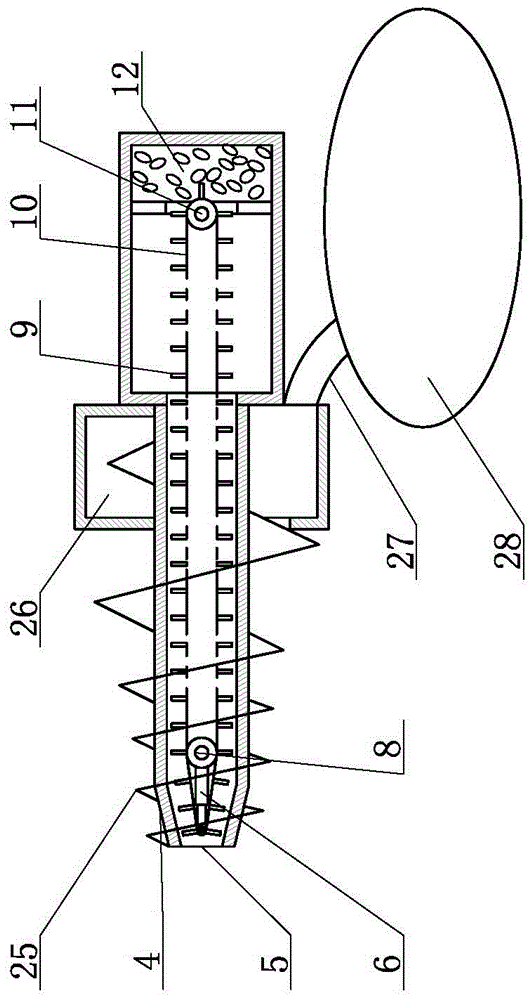 Spiral digging type automatic seeder