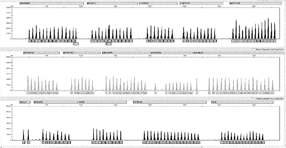 Blended copolymer gel with capillary self-coating effect and preparation method thereof