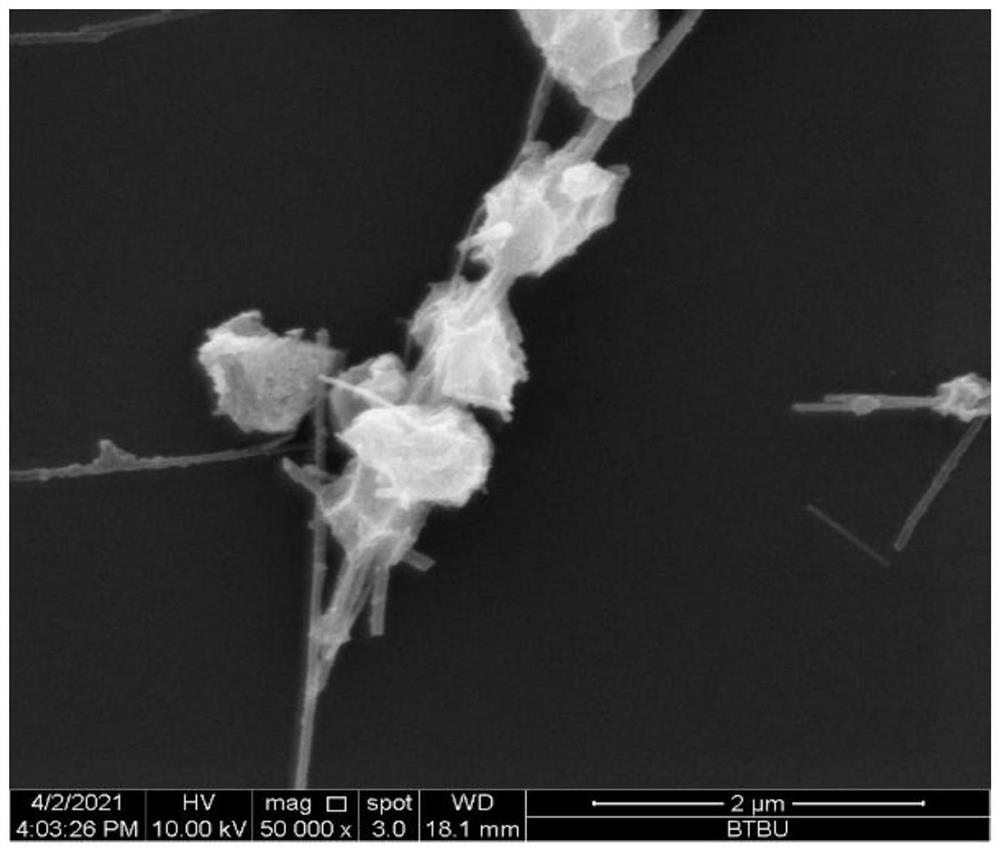 Bead string type one-dimensional heterogeneous nano composite material, preparation method and application thereof and polymer-based wave-absorbing composite material