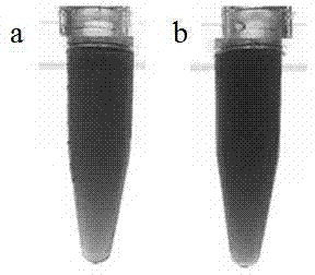 Concave surface gold@silver platinum heterogeneous composite nanoparticles having excellent catalytic and absorption properties and preparing method thereof