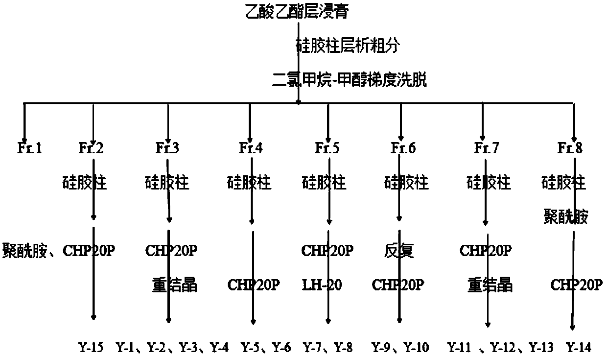 Jujube root extract, extraction and separation method and application thereof