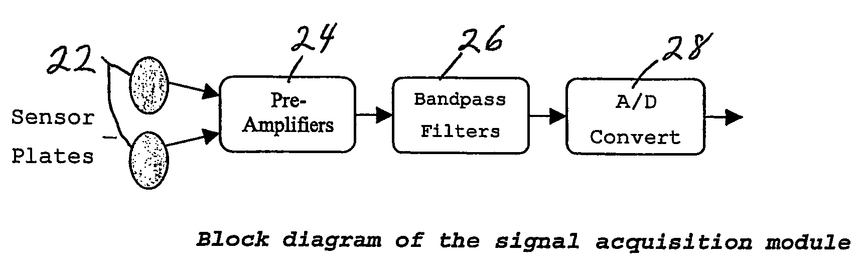 Method and apparatus for electro-biometric identiy recognition